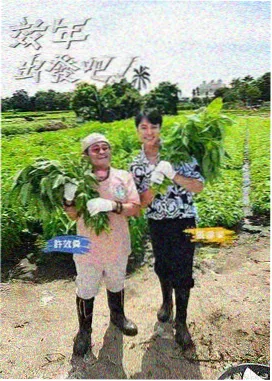 快活影院在线观看-极限挑战